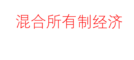 混合所有制经济 混合所有制经济