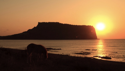 城山日出峰的日出