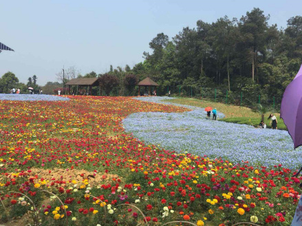 石象湖生态风景区