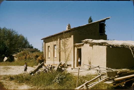 集体农庄 集体农庄