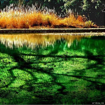 化学环境对水的影响