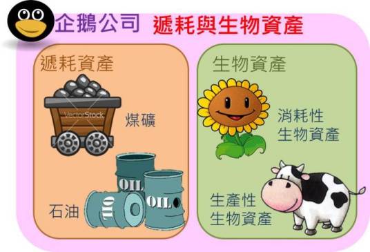 生产性生物资产 生产性生物资产