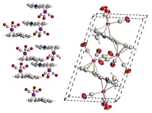 有机分子 有机分子