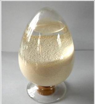 阴离子交换剂 阴离子交换剂