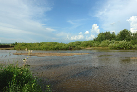 亚沟街道风景图