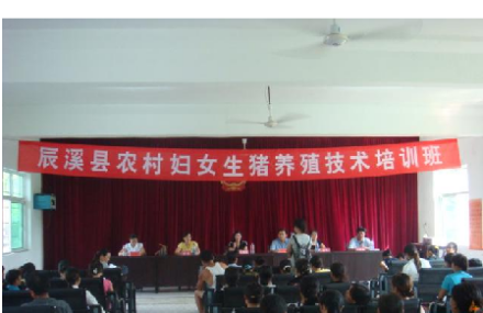 辰溪县举办农村妇女生猪养殖培训班