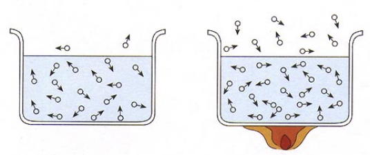 分子运动 分子运动