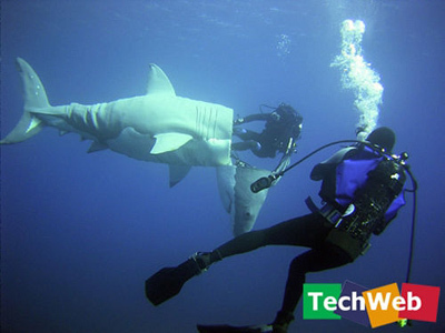 人类仿生的做法