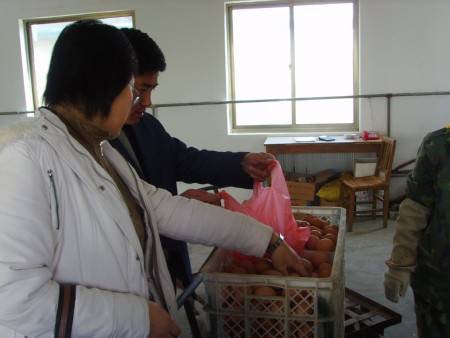 政府信用 政府信用