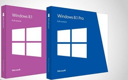 Windows 8.1/Windows 8.1 Pro 