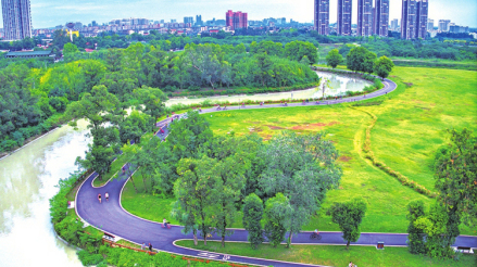 成都青龙湖湿地公园