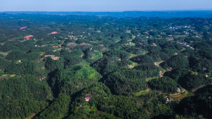 五条沟自然生态旅游景区 