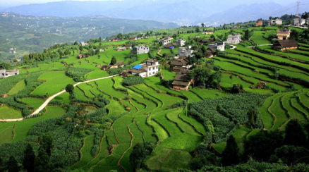 红龙梯田春意图