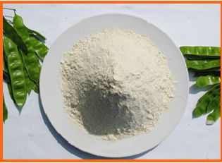 大豆分离蛋白粉