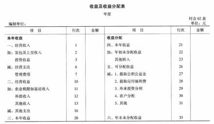 集体经济收益及收益分配表