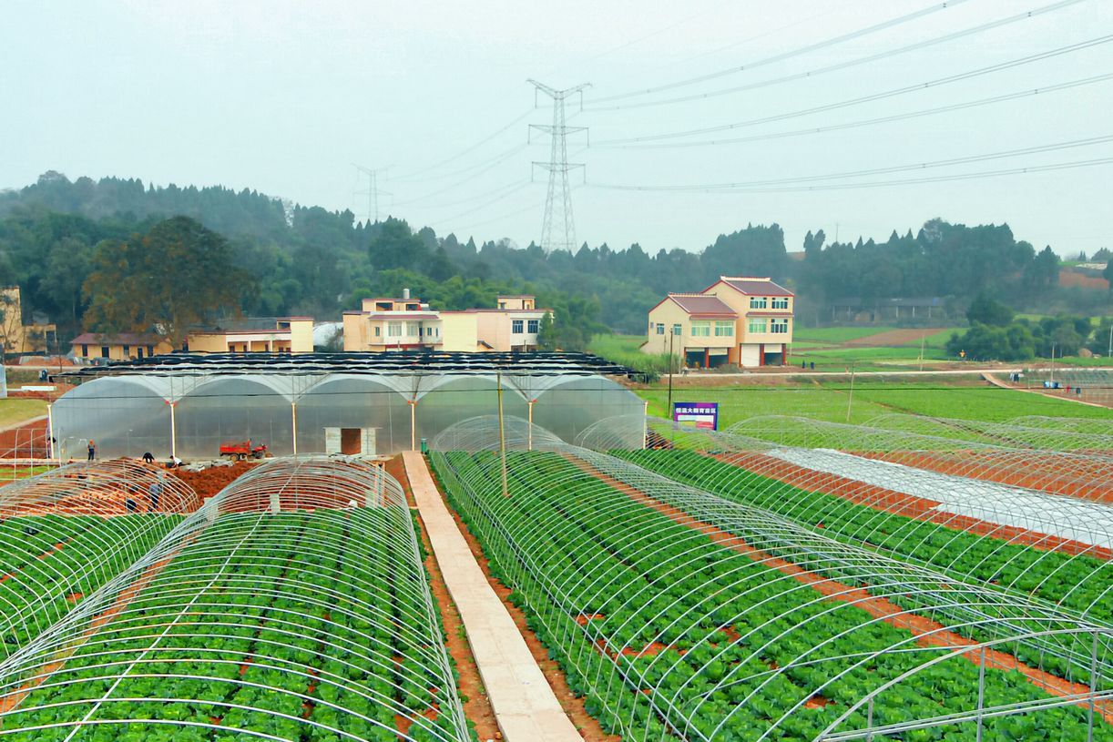 机械化的简阳农业