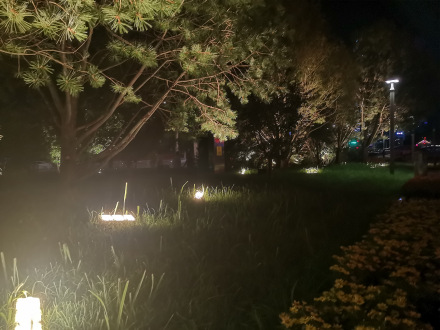 文化宫周边夜景