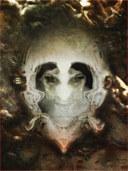 视觉艺术—洛可可