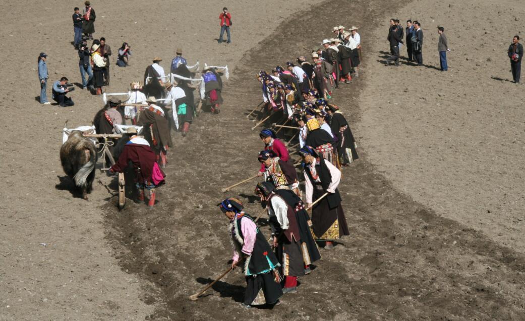 嘉绒农耕劳动歌