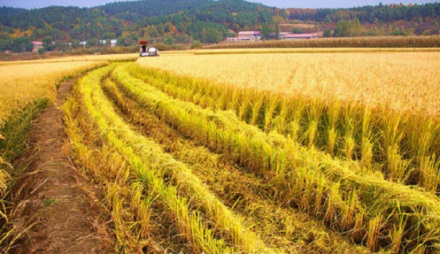 亚沟街道经济图