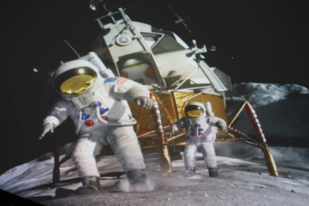 苍蝇与宇宙飞船