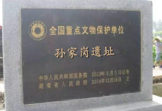 孙家岗遗址 孙家岗遗址