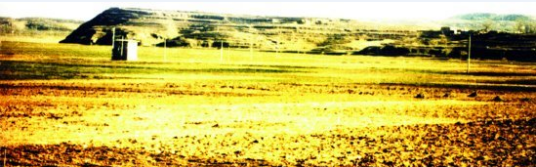 龟地遗址 龟地遗址