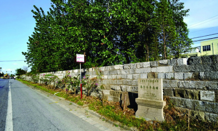 华亭海塘奉贤段