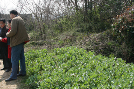蜀山窑群程家窑