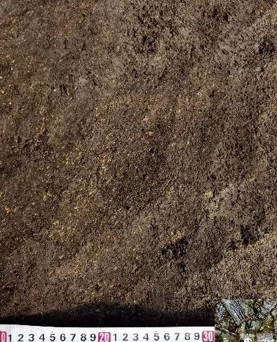 谷糠层及其显微结构