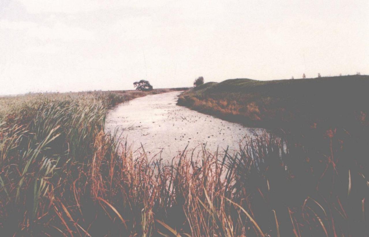 奥里米城址北城墙护城河