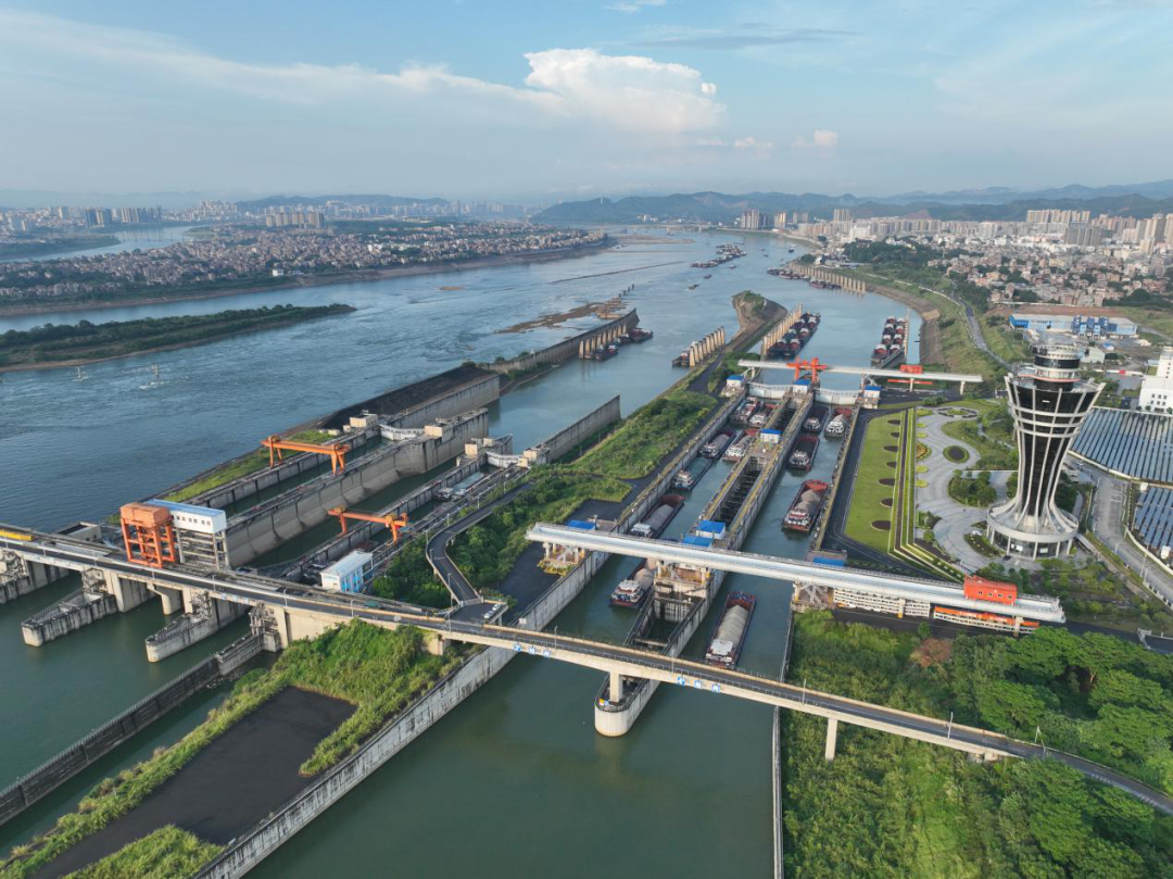 长洲枢纽船舶过闸