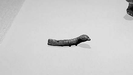 半个人工切割下来的蚕茧标本