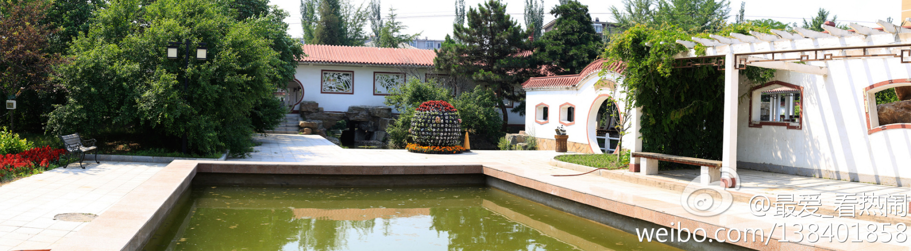 鱼跃荷香园精巧秀丽