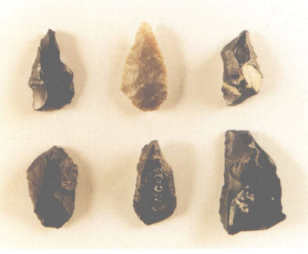 柿子滩遗址出土石制品