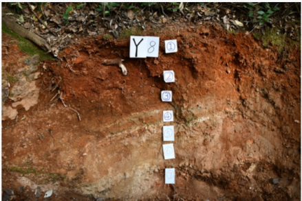 Y8、Y57、Y58窑床断面（从晚到早）