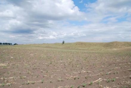 郝家城子古城遗址