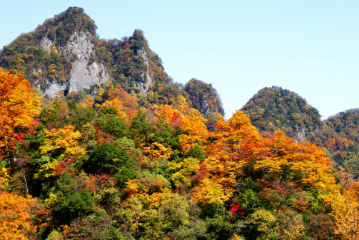 光雾山国家AAAAA级旅游景区风光