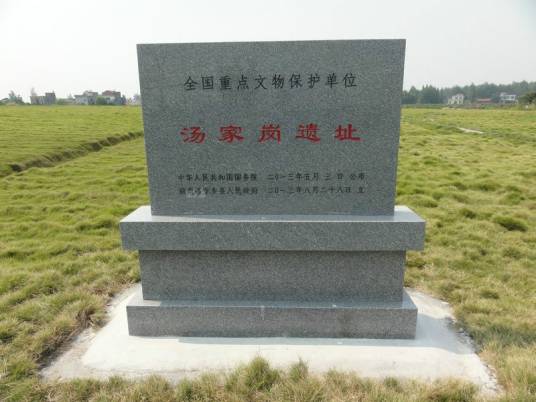 汤家岗遗址 汤家岗遗址