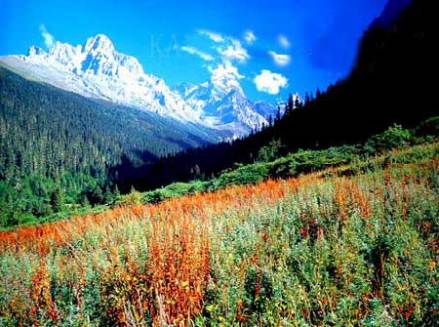 金汤自然保护区——野牛沟