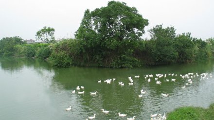 谭家湾遗址河西小圩