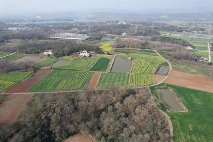 龙王山遗址俯瞰图