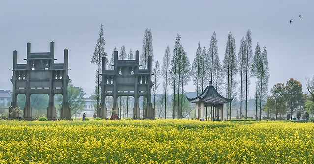 牌坊群鲍家花园 