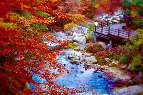 光雾山国家AAAAA级旅游景区风光