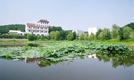 沈阳市第二十中学自然分校