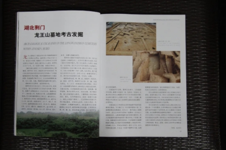 龙王山遗址相关文献