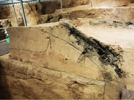 房基断面和木炭遗迹