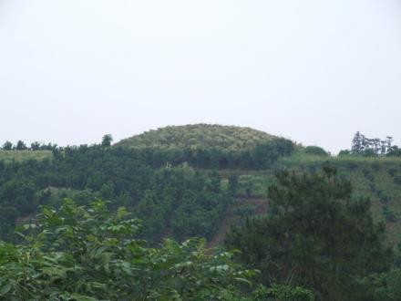 九里楚墓群大封土堆