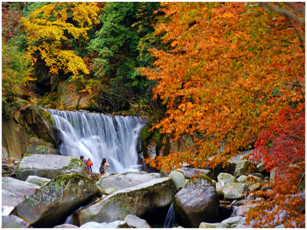 光雾山国家AAAAA级旅游景区风光