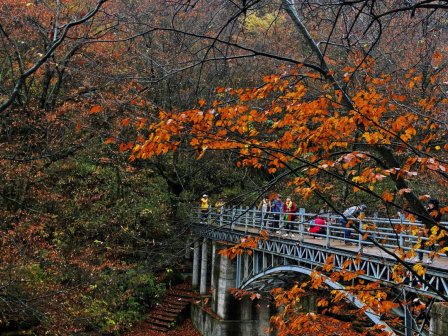 光雾山国家AAAAA级旅游景区风光